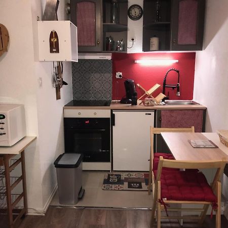 Studio Saint Lary Au Pla D'Adet Екстер'єр фото